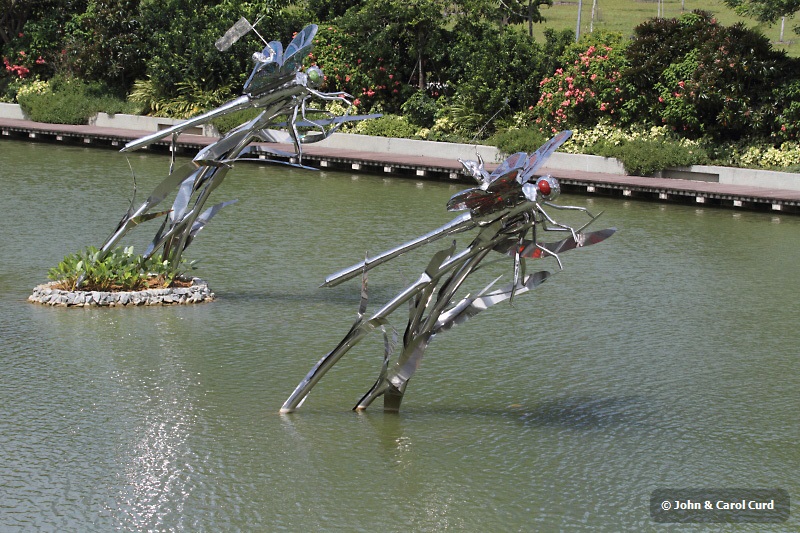 J01_2164 Dragonfly Riders.JPG
